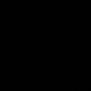 Meet your Posher, Tristin